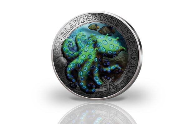 Kraken 5at