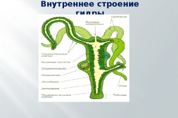 Кракен маркетплейс официальный сайт