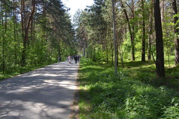 Кракен шоп ссылки